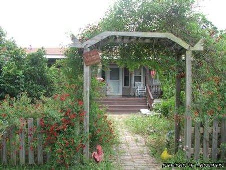Allen Acres Bed And Breakfast DeRidder Extérieur photo